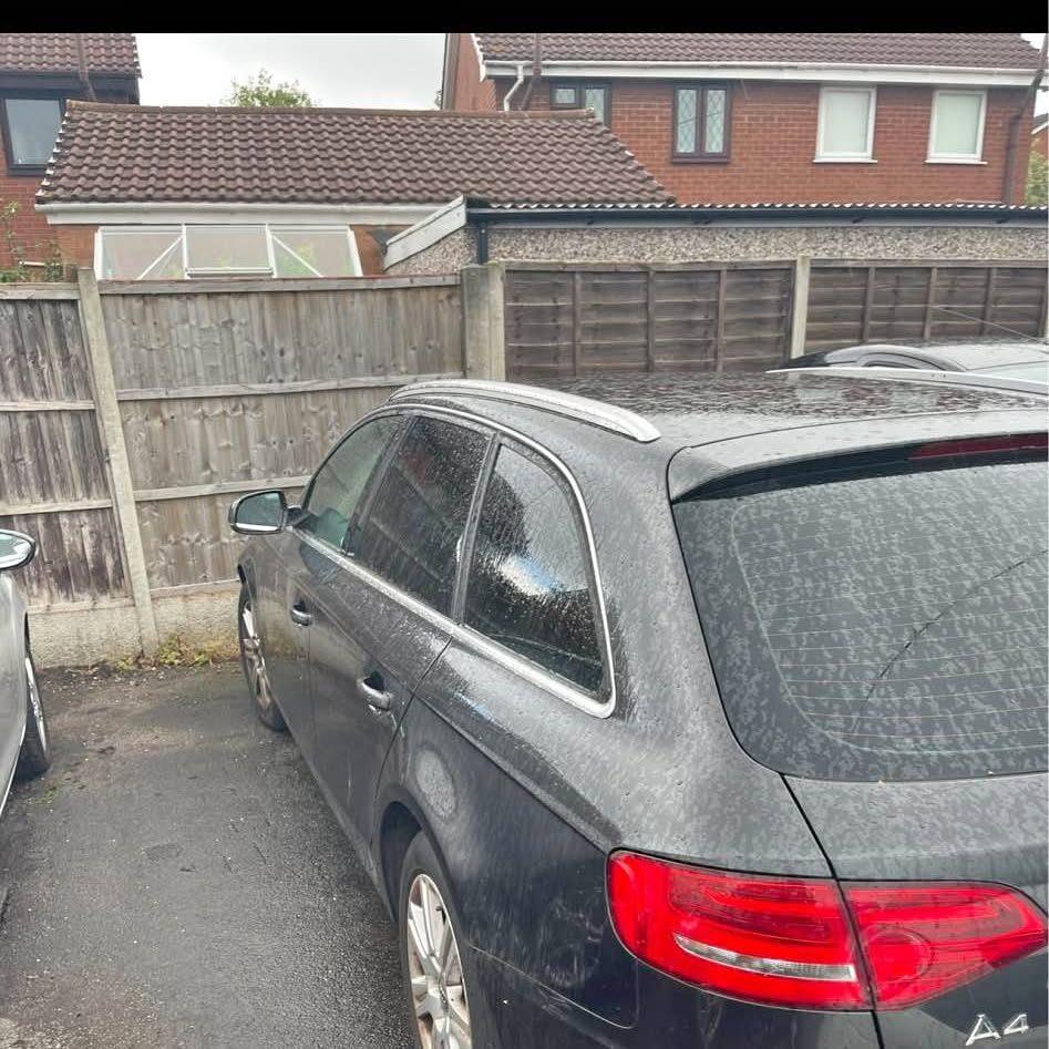 2010 Audi A4