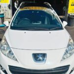 2010 Peugeot 207